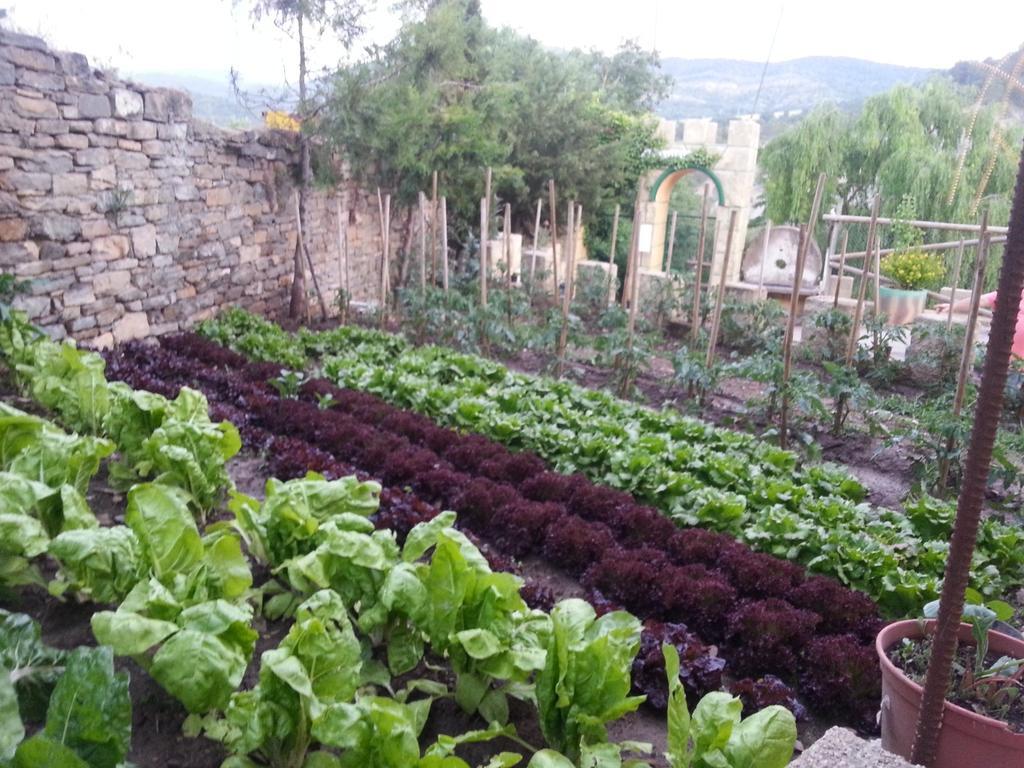 Las Bodegas De Claveria El Humo de Muro Exterior photo